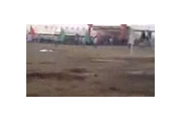 蜘蛛池作用_蜘蛛嶺生態(tài)園怎么樣