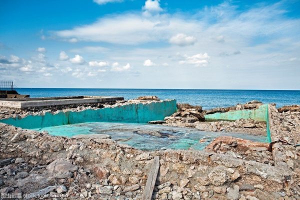 蜘蛛池作用_蜘蛛池到底有沒有用