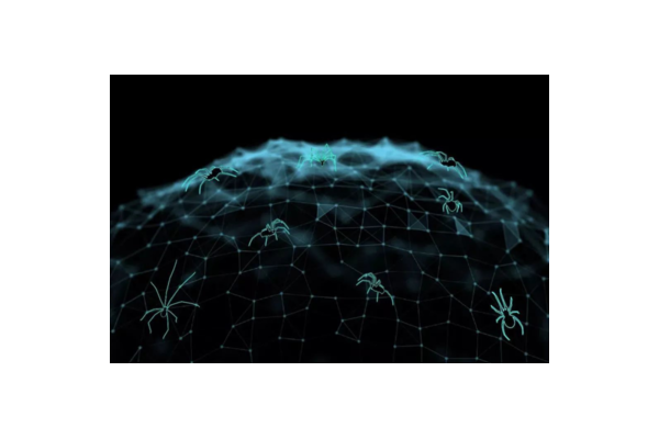 蜘蛛池只有谷歌