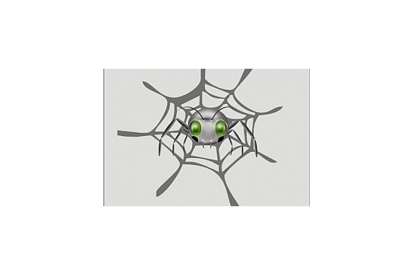 小型蜘蛛池_蜘蛛池到底有沒有用