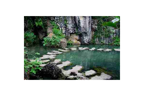 探秘上海神馬蜘蛛池的獨(dú)特魅力與神奇功效