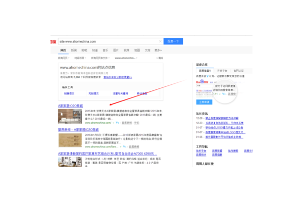 蜘蛛池沒有蜘蛛嗎圖片