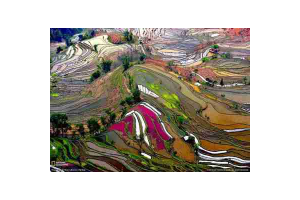 蜘蛛池建造圖片