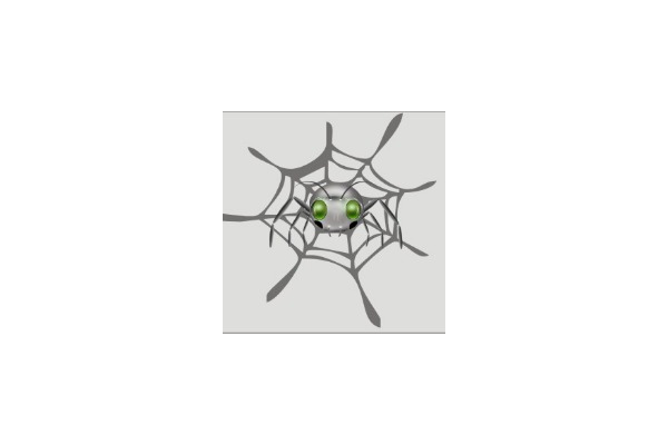 母蜘蛛是什么_蜘蛛池是什么東西