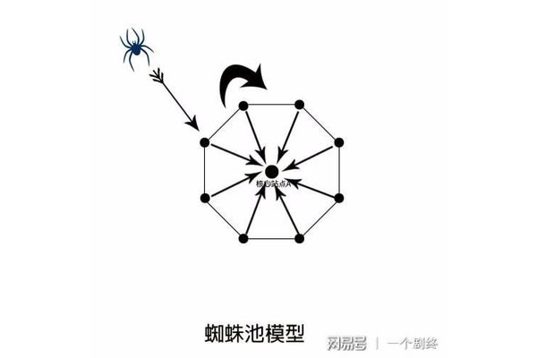 蜘蛛池到底有沒有用_蜘蛛池作用