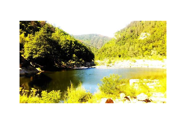 黃云獨家蜘蛛池：開啟網(wǎng)絡(luò)推廣新途徑，助力流量飆升