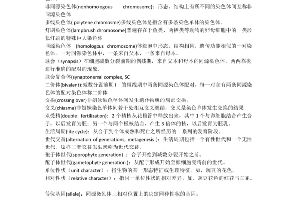 蜘蛛池名詞解析大全：全面解讀蜘蛛池相關(guān)專業(yè)術(shù)語(yǔ)