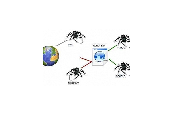 蜘蛛池是干嘛的_蜘蛛池的原理