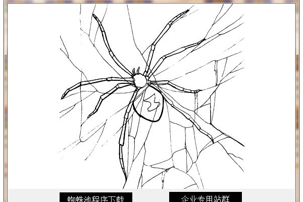 蜘蛛鼻子靈敏嗎_鼻子出現(xiàn)蜘蛛痣