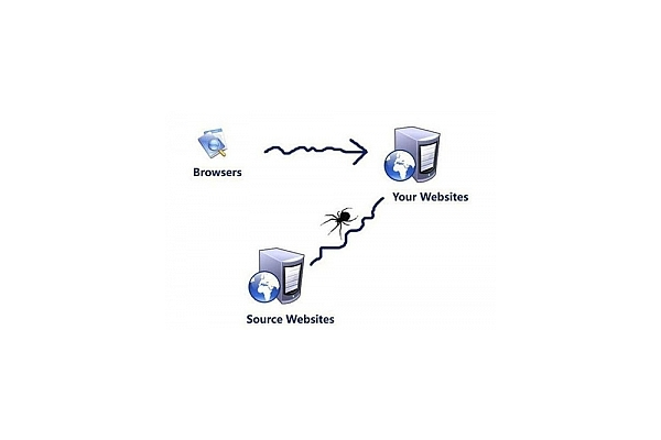 網(wǎng)站成為蜘蛛池