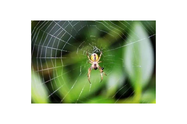 女主叫池淺淺的小說(shuō)_女主叫池小淺的小說(shuō)