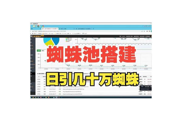 蜘蛛池搭建引流