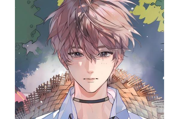 蜘蛛池搭建圖片：全面解析搭建步驟與關(guān)鍵要點(diǎn)