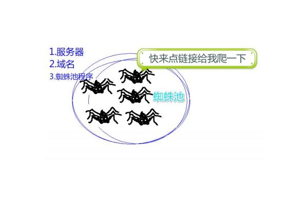 蜘蛛池導(dǎo)致蜘蛛來太多