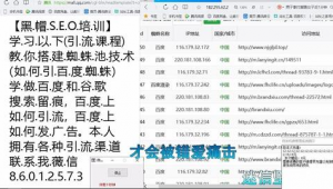 百度蜘蛛池自動(dòng)收錄seo_百度首頁排名優(yōu)化